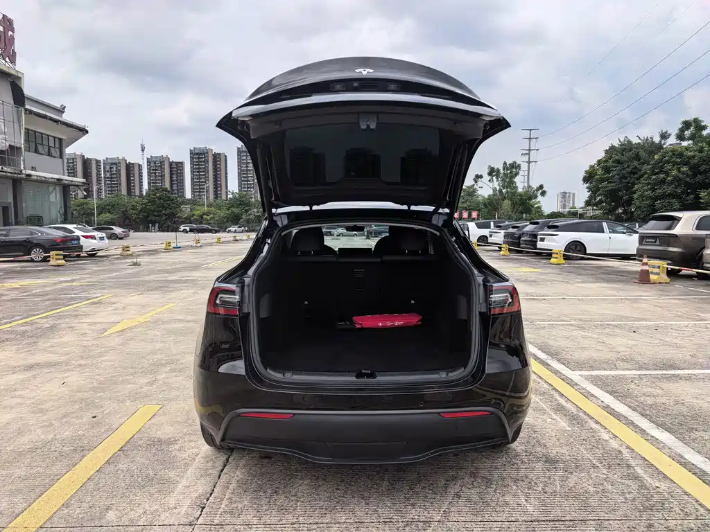 Tesla Model Y — миниатюра 17