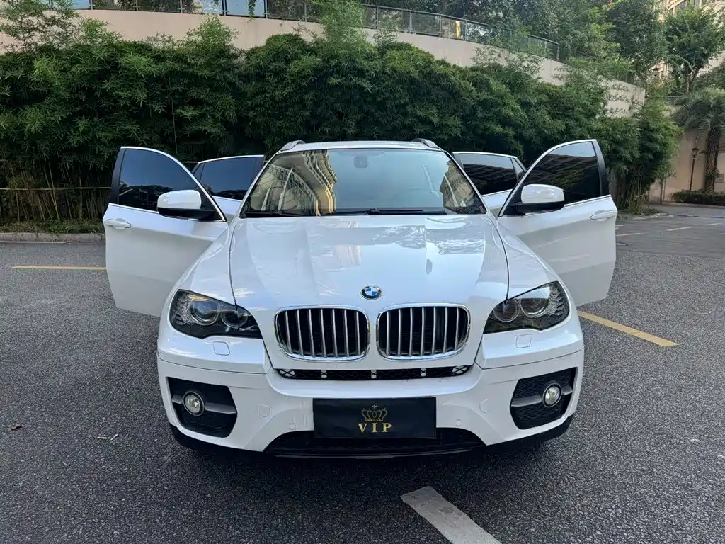 BMW X6 2009 xDrive35i