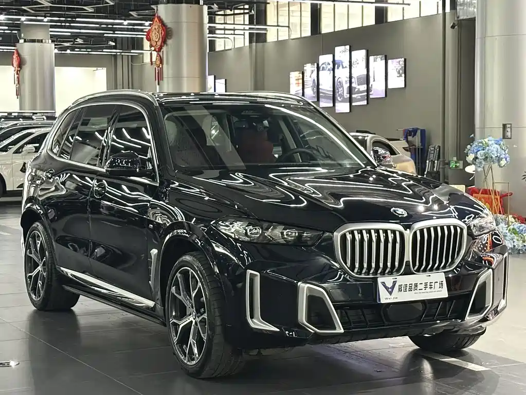 BMW X5 — миниатюра 3