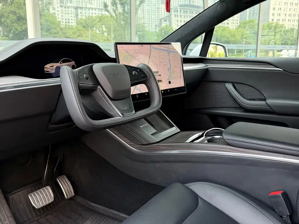 Tesla Model X — миниатюра 7