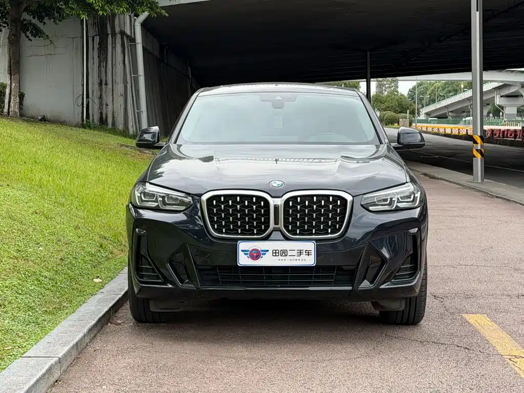 BMW X4 — миниатюра 2