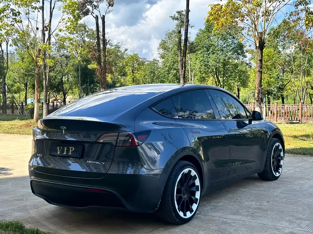 Tesla Model Y — миниатюра 7