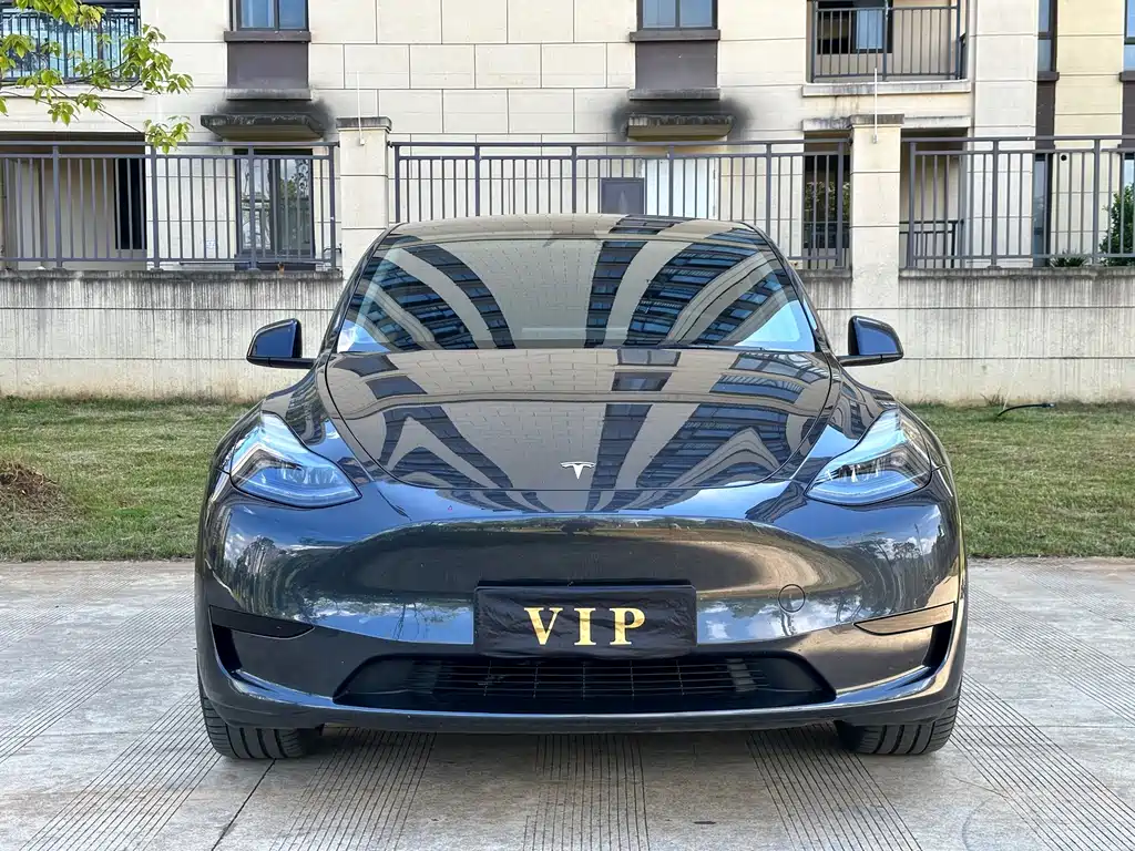 Tesla Model Y — миниатюра 2