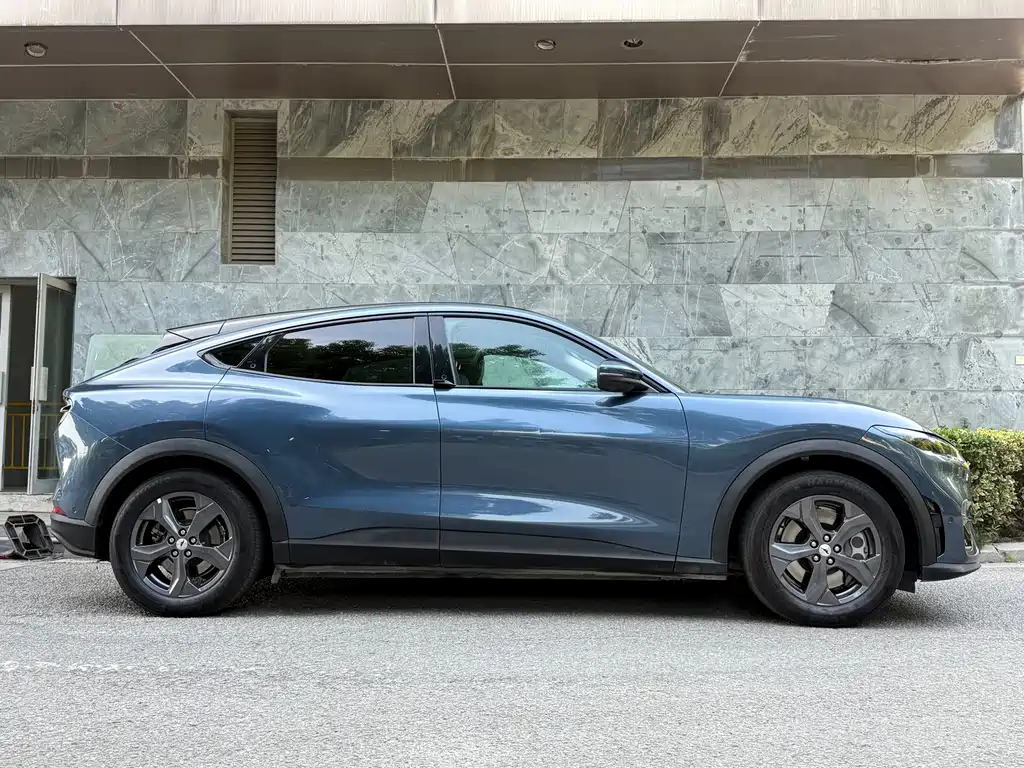 Ford Mustang Mach-E — миниатюра 9