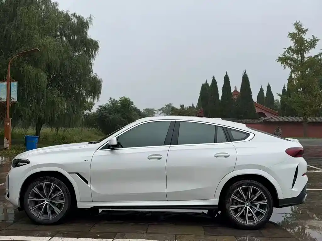 BMW X6 — фотографии объявления, Фото 12