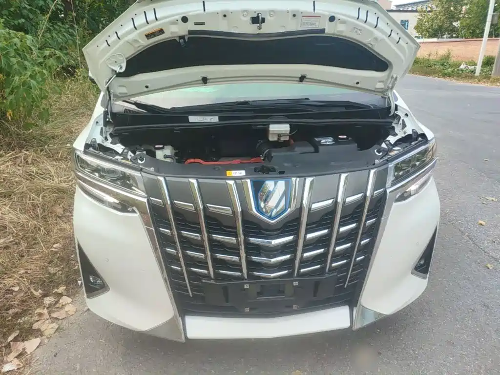 Toyota Alphard — миниатюра 20