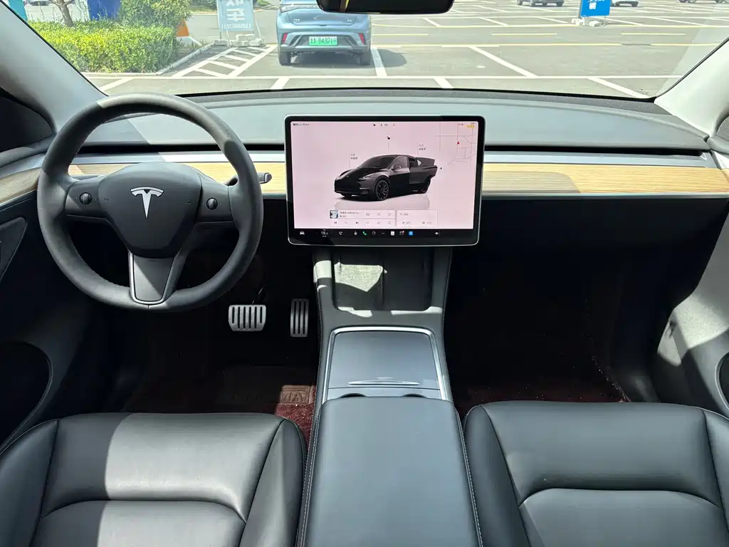 Tesla Model Y — миниатюра 10