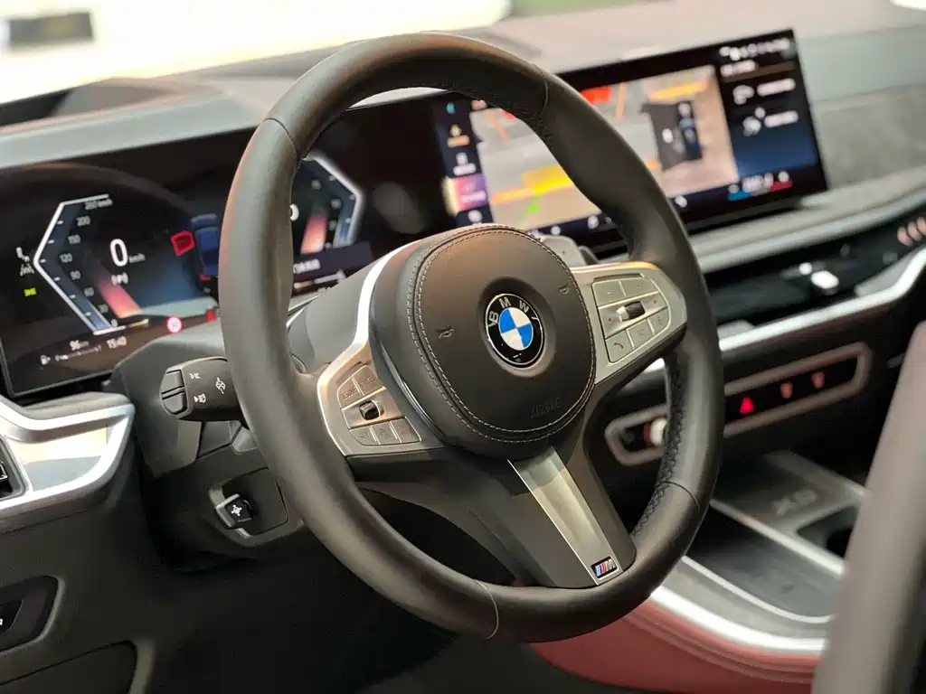 BMW X5 — миниатюра 7