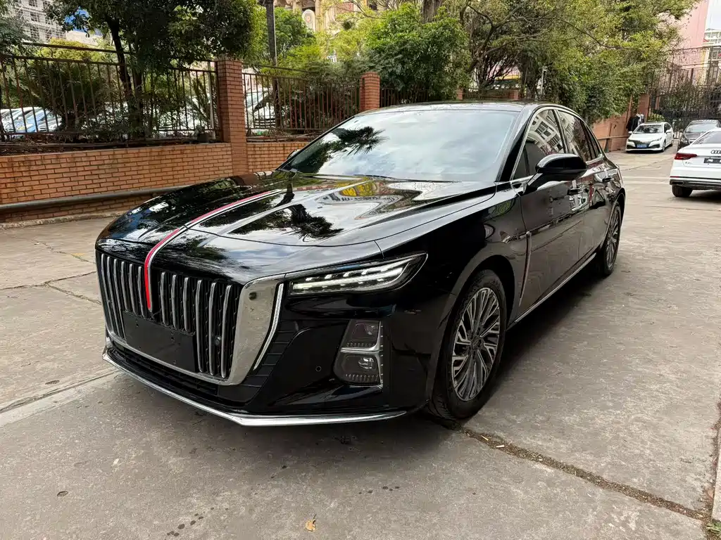 Hongqi Hongqi H5 2024