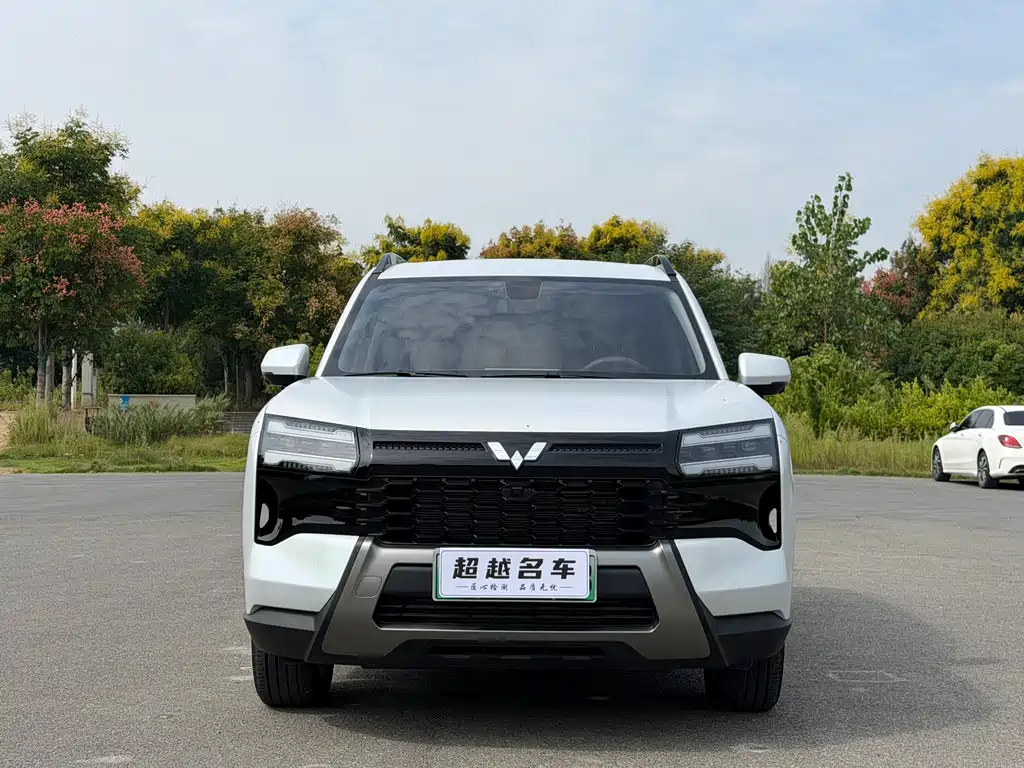 Wuling Xingguang 560 New Energy — миниатюра 2