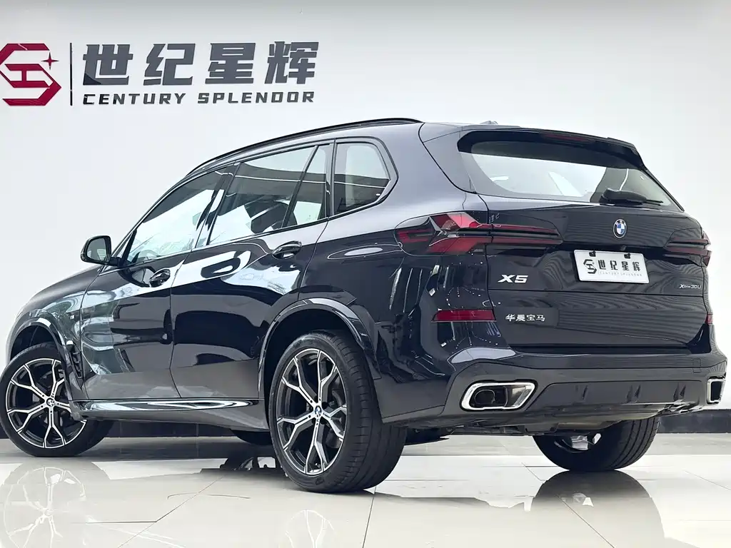 BMW X5 — миниатюра 6