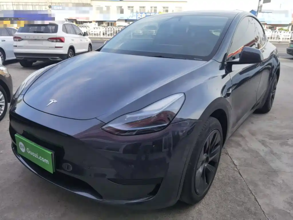 Tesla Model Y — миниатюра 2