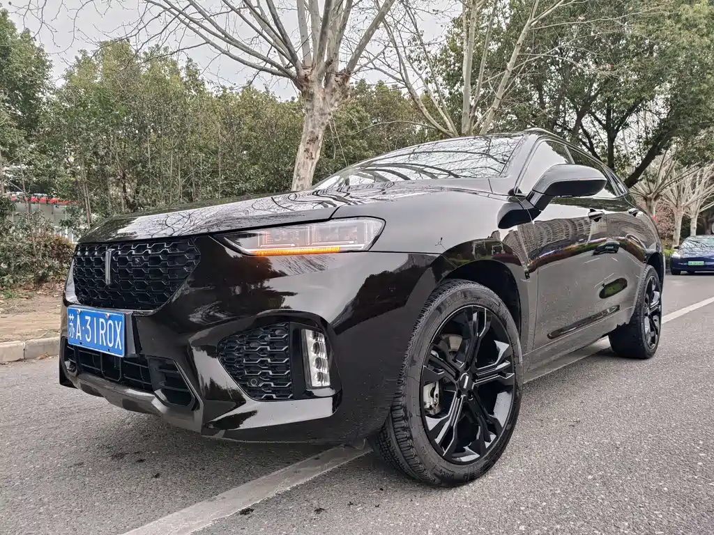 Купить Wey Wey VV7
