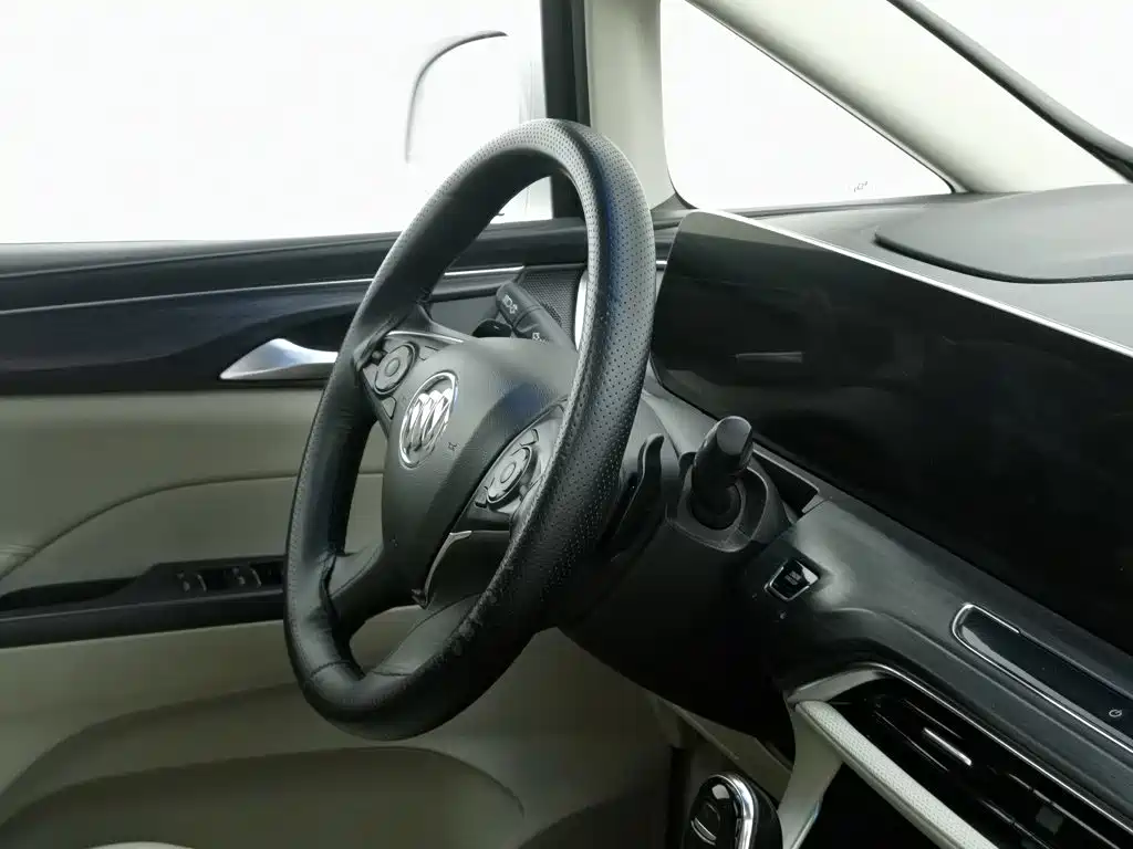 Buick GL8 — миниатюра 22