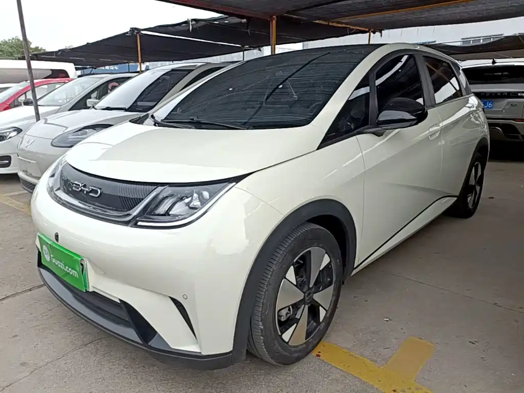 BYD Dolphin — миниатюра 2