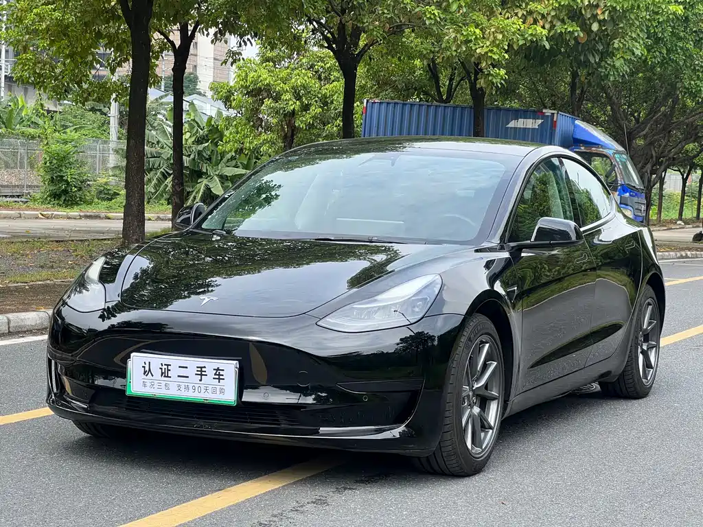 Tesla Model 3 2021 3D1