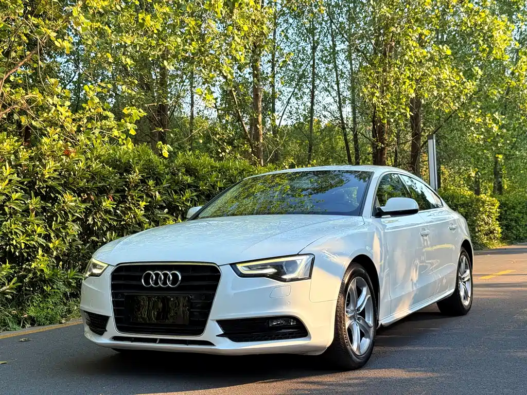 Audi A5 (Import)