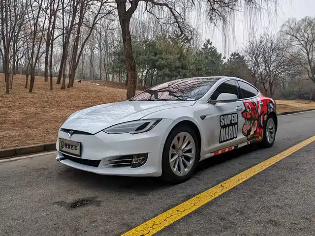 TESLA MODEL S 2019