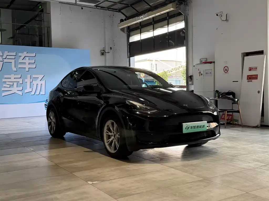 Tesla Model Y — миниатюра 3