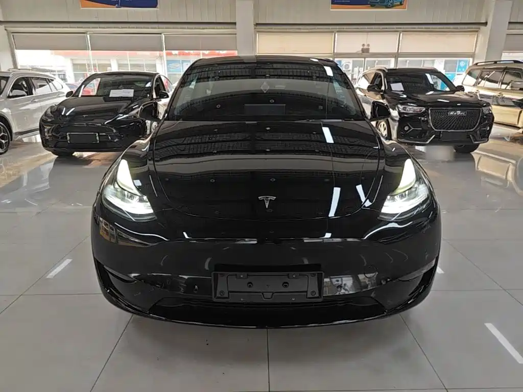 Tesla Model Y — миниатюра 3
