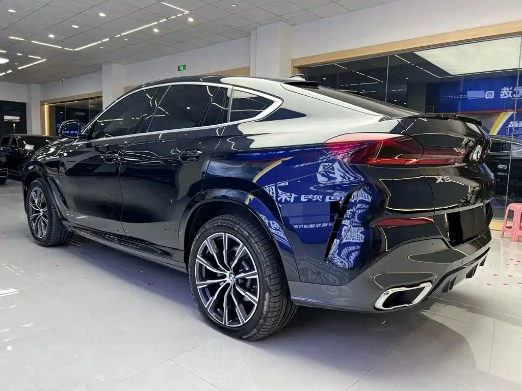 BMW X6 — миниатюра 9