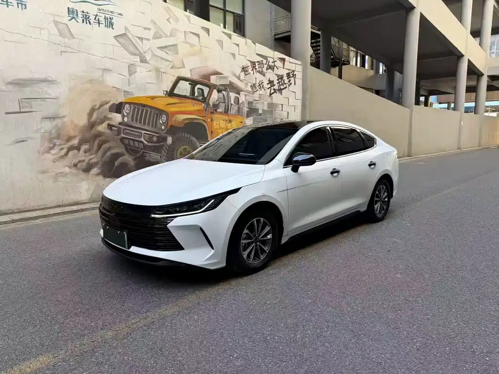 BYD Destroyer 05 2024 DM-i 55KM Luxury