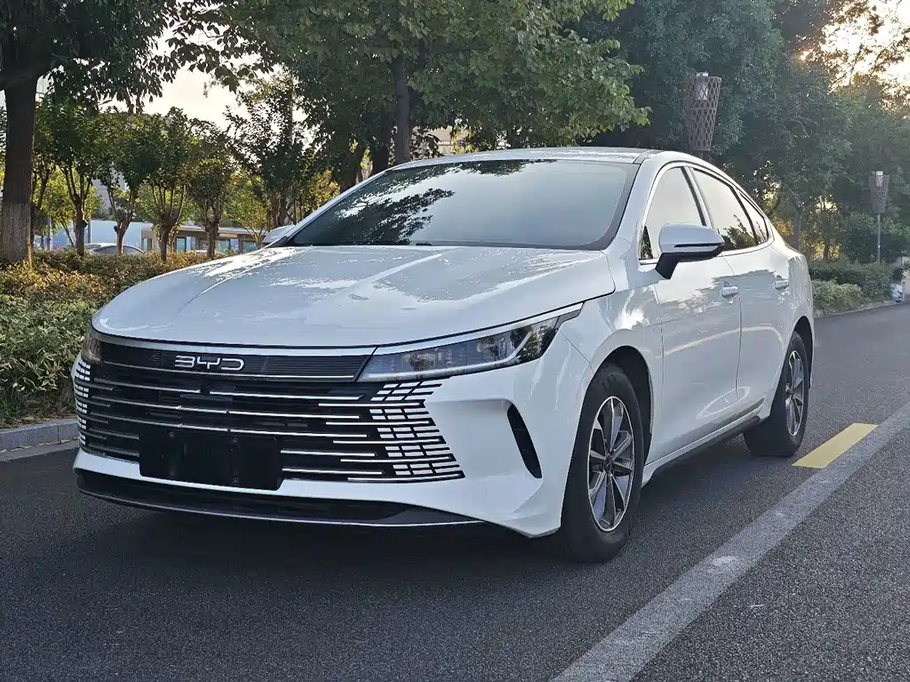 BYD Destroyer 05