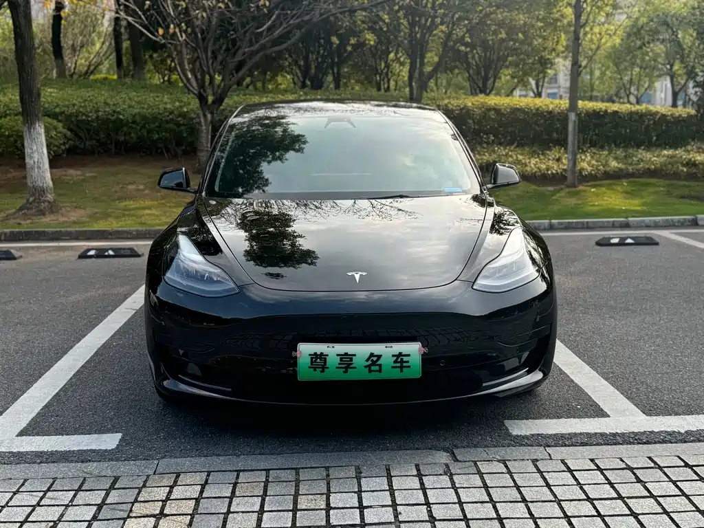 Tesla Model 3 — миниатюра 2
