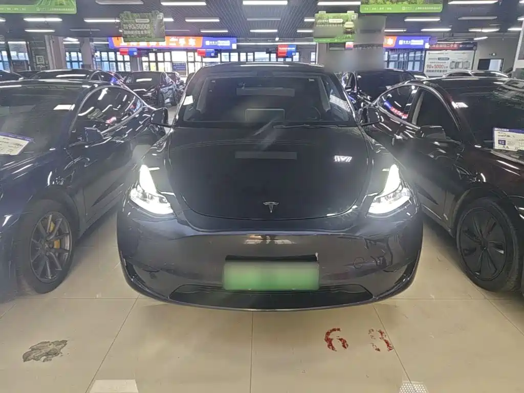 Tesla Model Y — миниатюра 3
