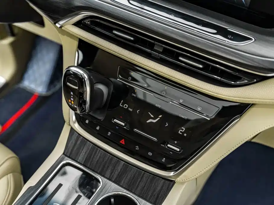 Buick GL8 — миниатюра 10