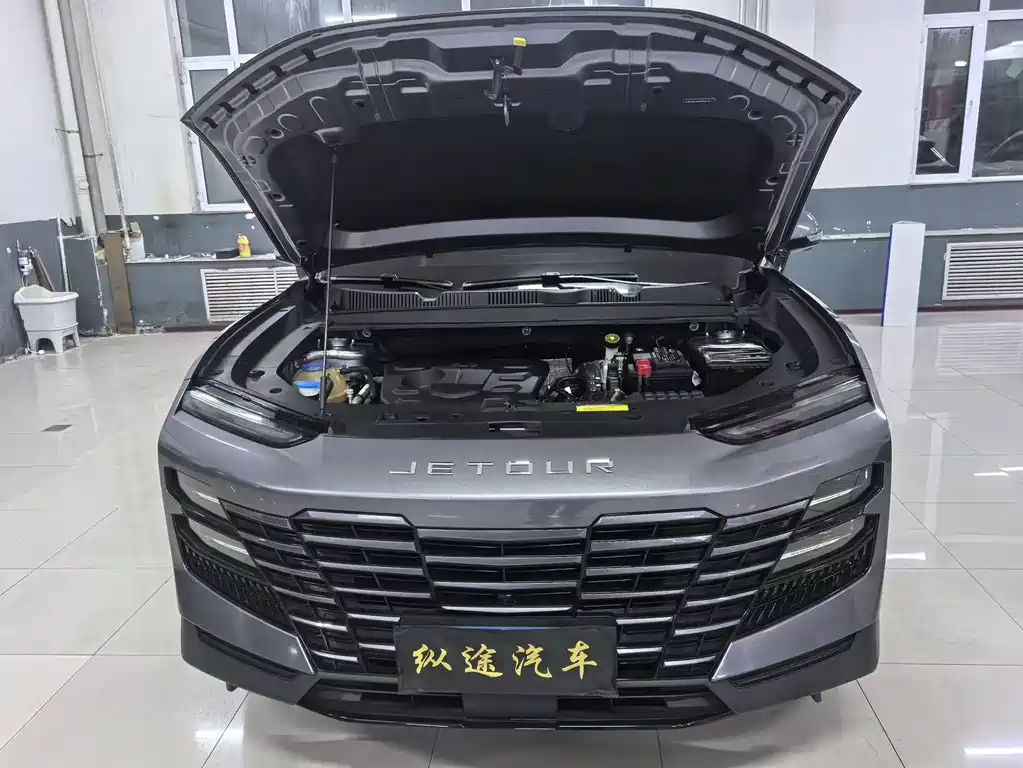 Jetour Dasheng — миниатюра 7