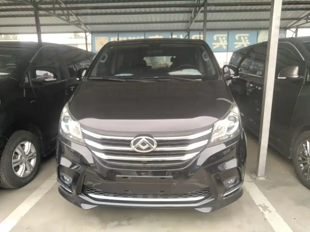 SAIC MAXUS CHASE G10