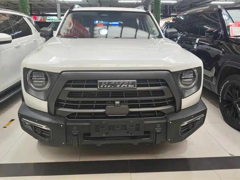HAVAL BIG DOG