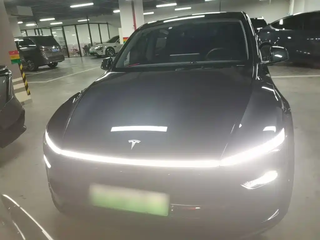 Tesla Model Y — миниатюра 3