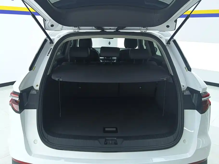 BYD Pro — миниатюра 4