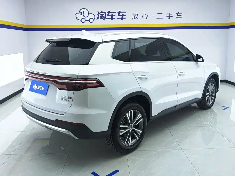 BYD Pro — миниатюра 3