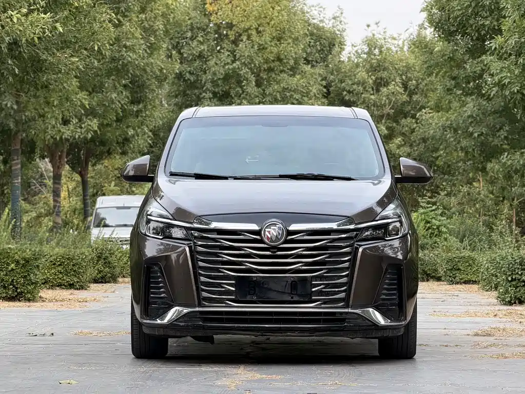 Buick GL8 — миниатюра 2