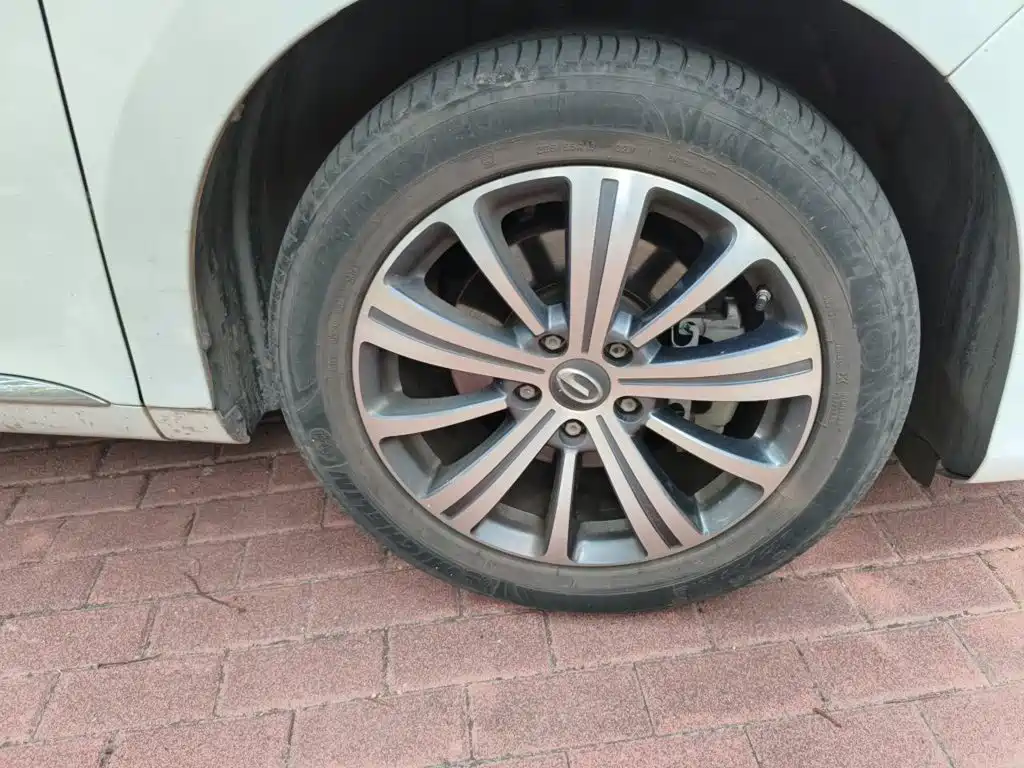 GAC Motor Trumpchi M8 — миниатюра 8