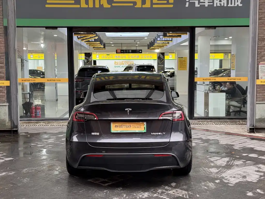 Tesla Model Y — миниатюра 5