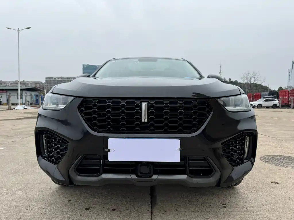 WEI PAI WEI BRAND VV5