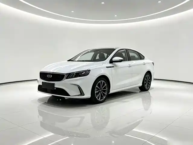 2021 Geely Binrui