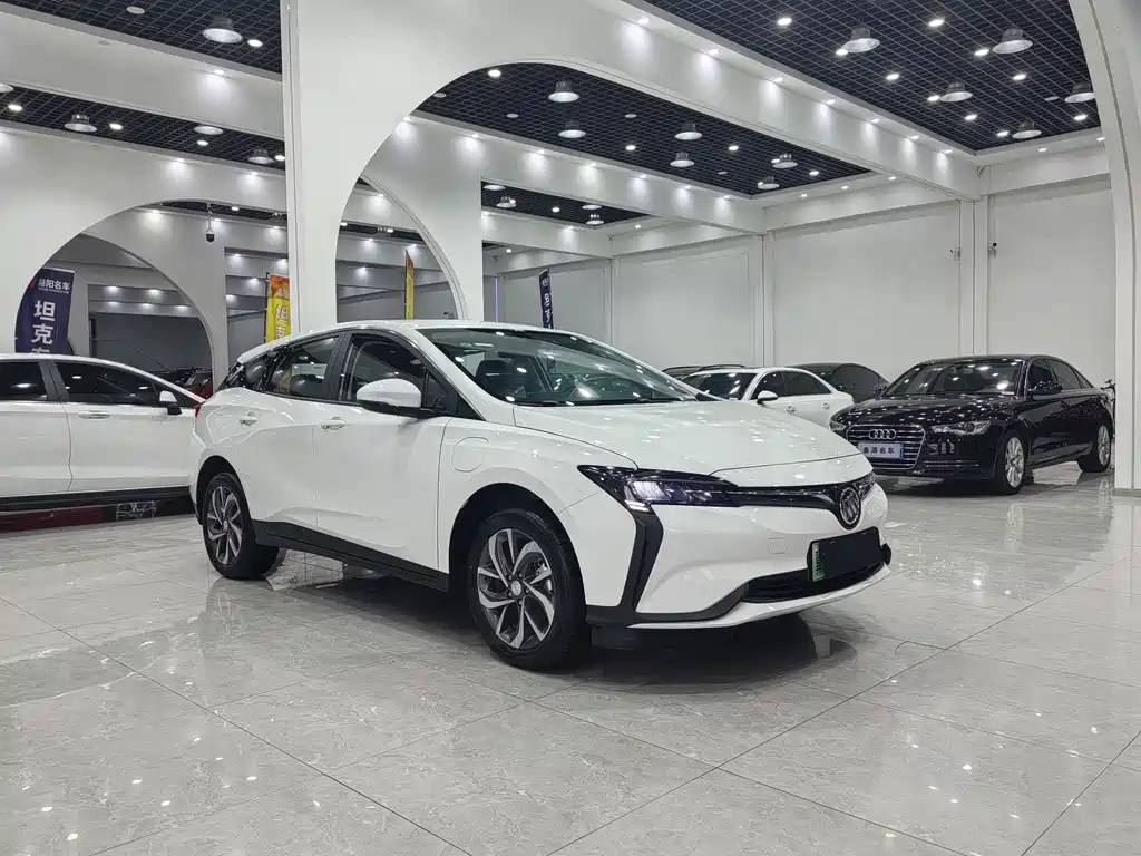 BUICK SLIGHTLY BLUE 6