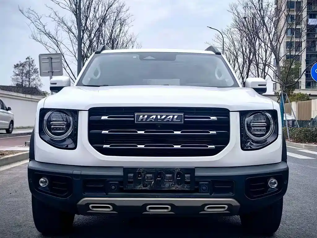 HAVAL BIG DOG
