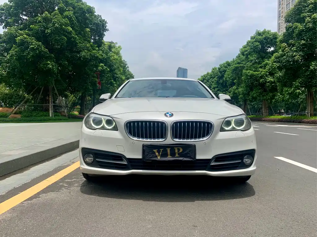 BMW 5 Series — миниатюра 2