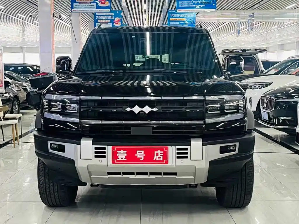 FANG CHENG BAO LEOPARD 5