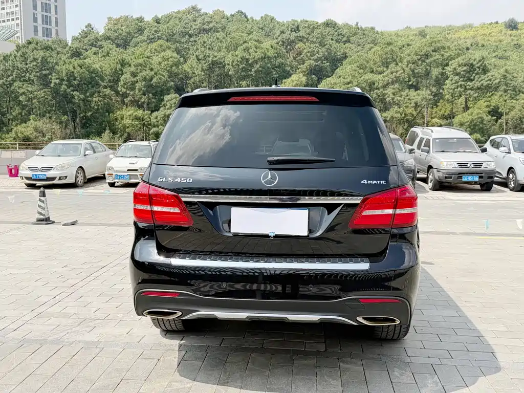 Mercedes-Benz GLS — миниатюра 14