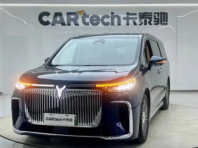2024 Voyah Dream