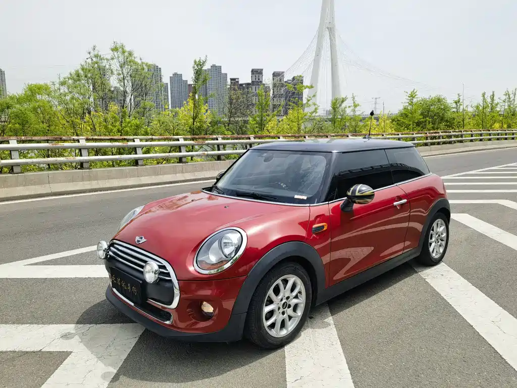 Mini Mini 2016
