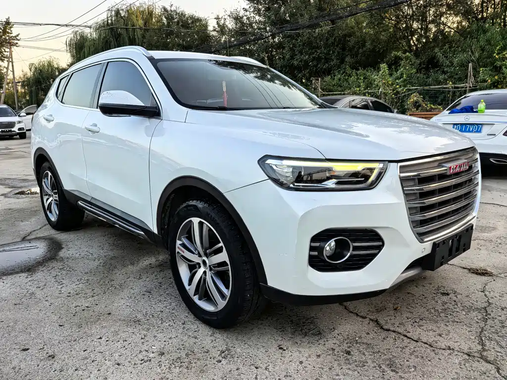 Haval H6 — миниатюра 3