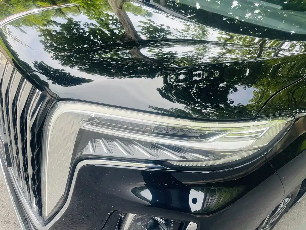 Hongqi HQ9 2023 2.0T